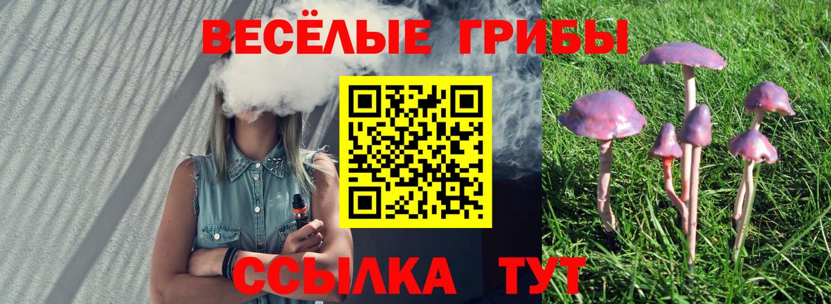 Галлюциногенные грибы Cubensis Конаково