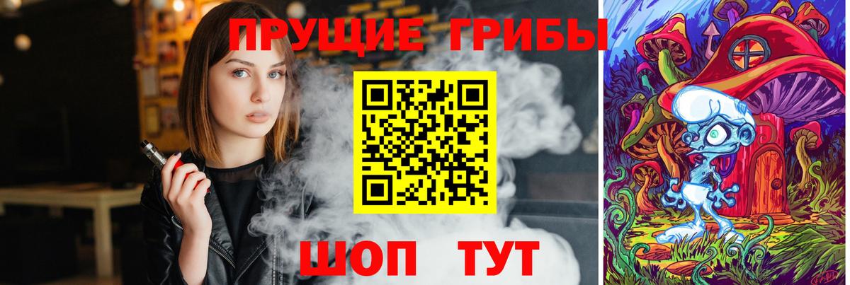 Конаково  Псилоцибиновые грибы MAGIC MUSHROOMS  Вход с VPN 